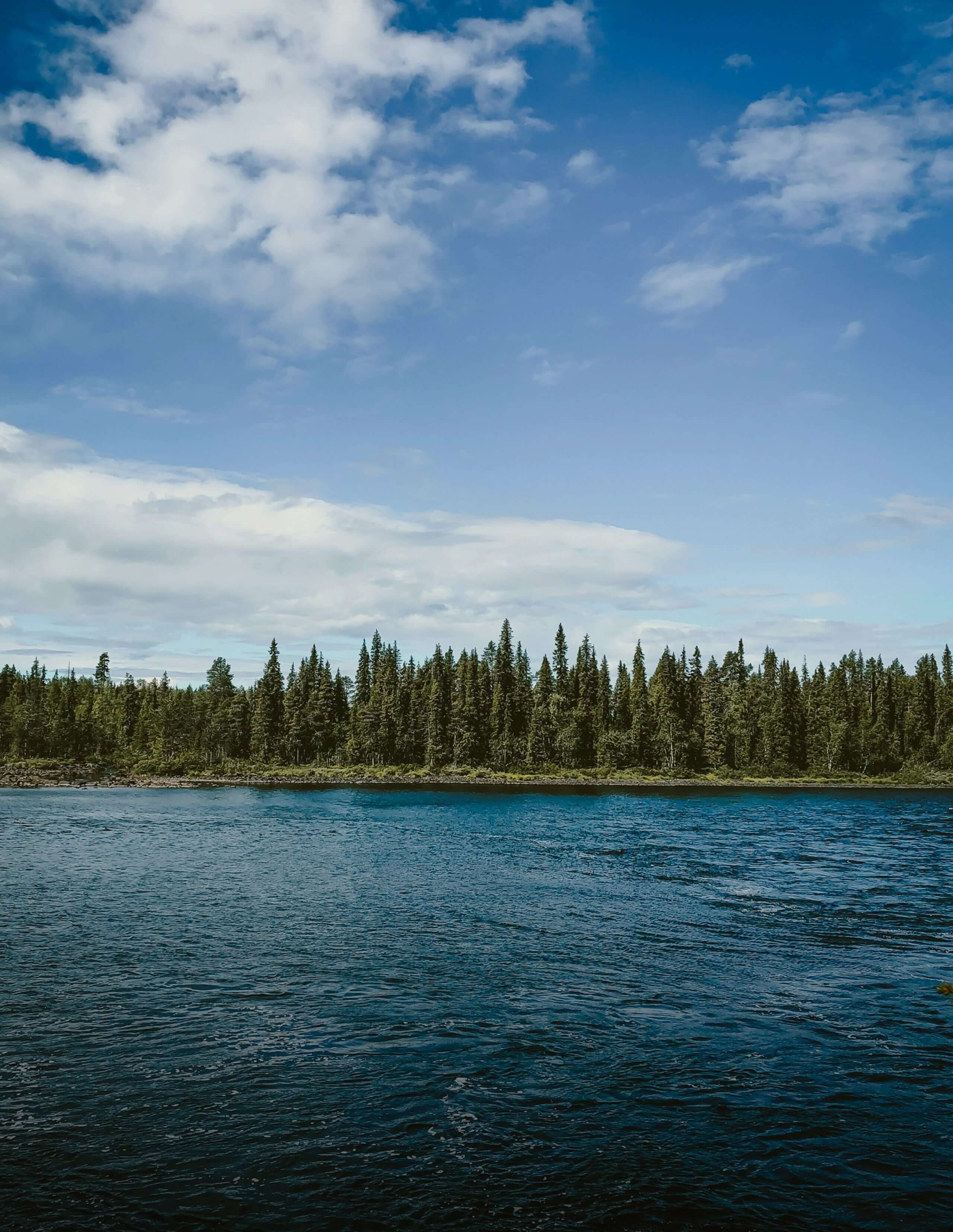 Niebieskie niebo, las i jezioro — symbol zrównoważonej turystyki