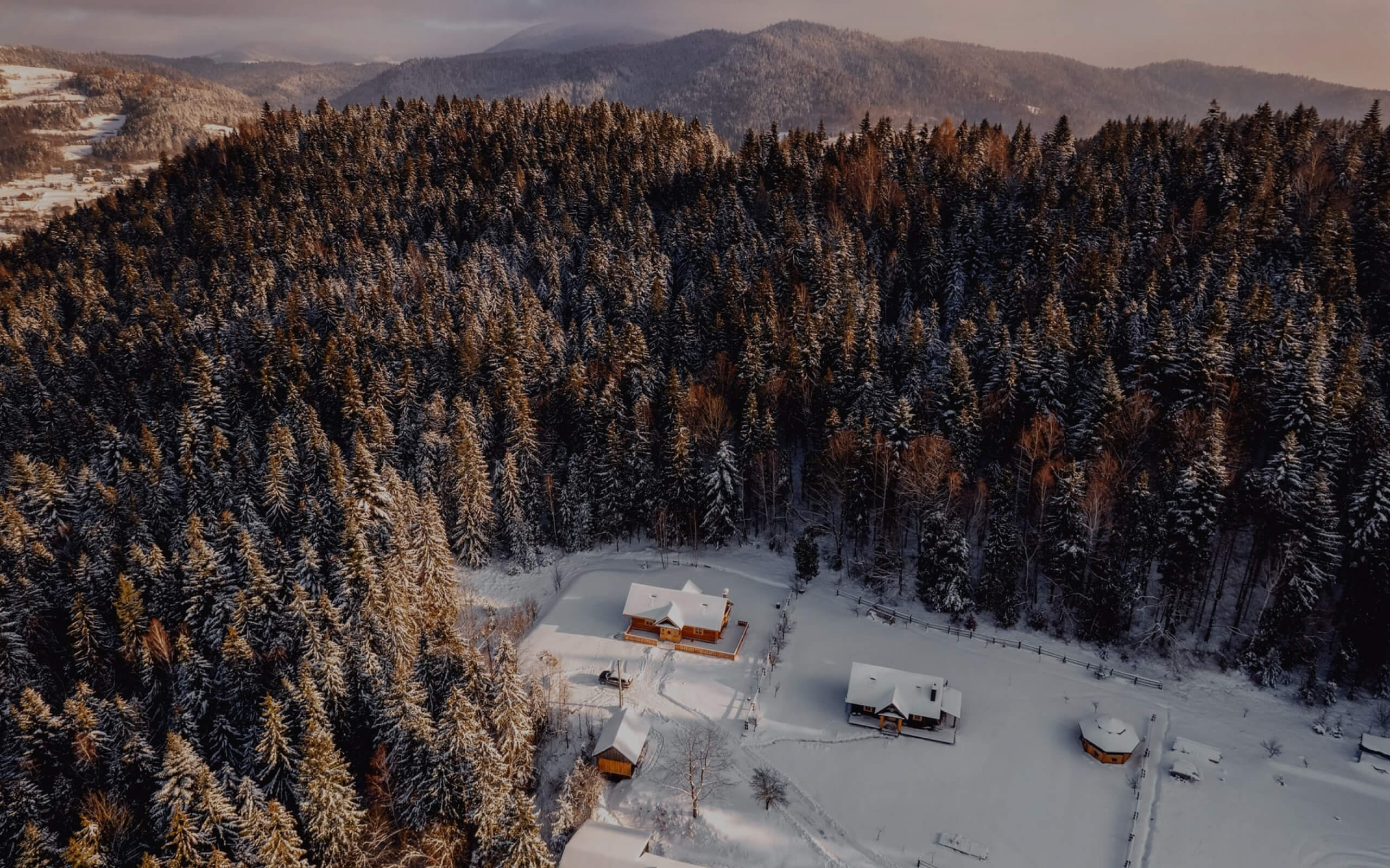 Osoba w różowym kole ratunkowym skacze z pomostu do jeziora wśród zieleni.